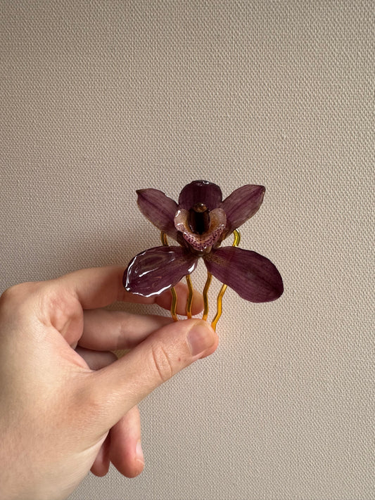 Cymbidium hairpin