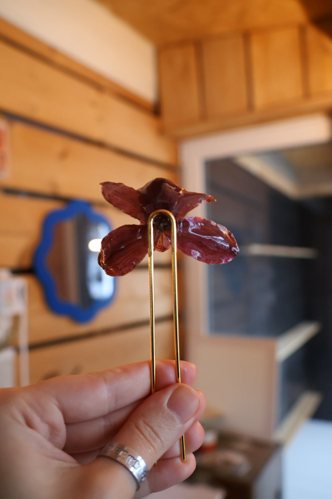 Cymbidium orchid hairpin SYLLIA