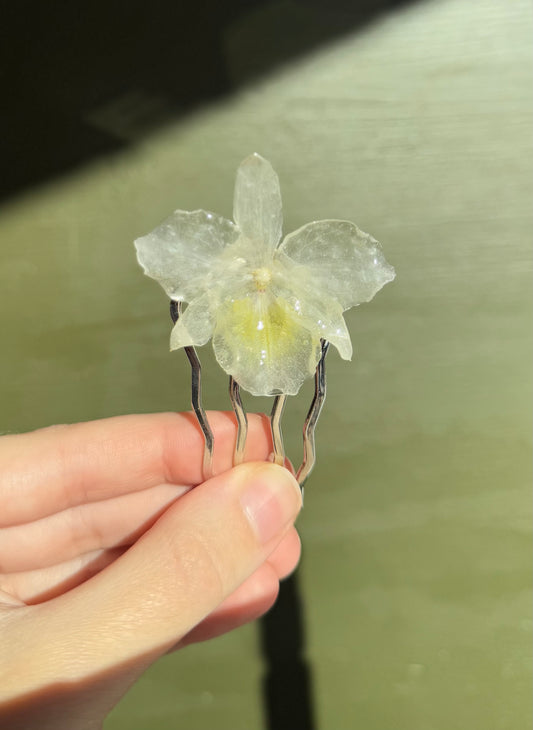 White dendrobium orchid hairpin