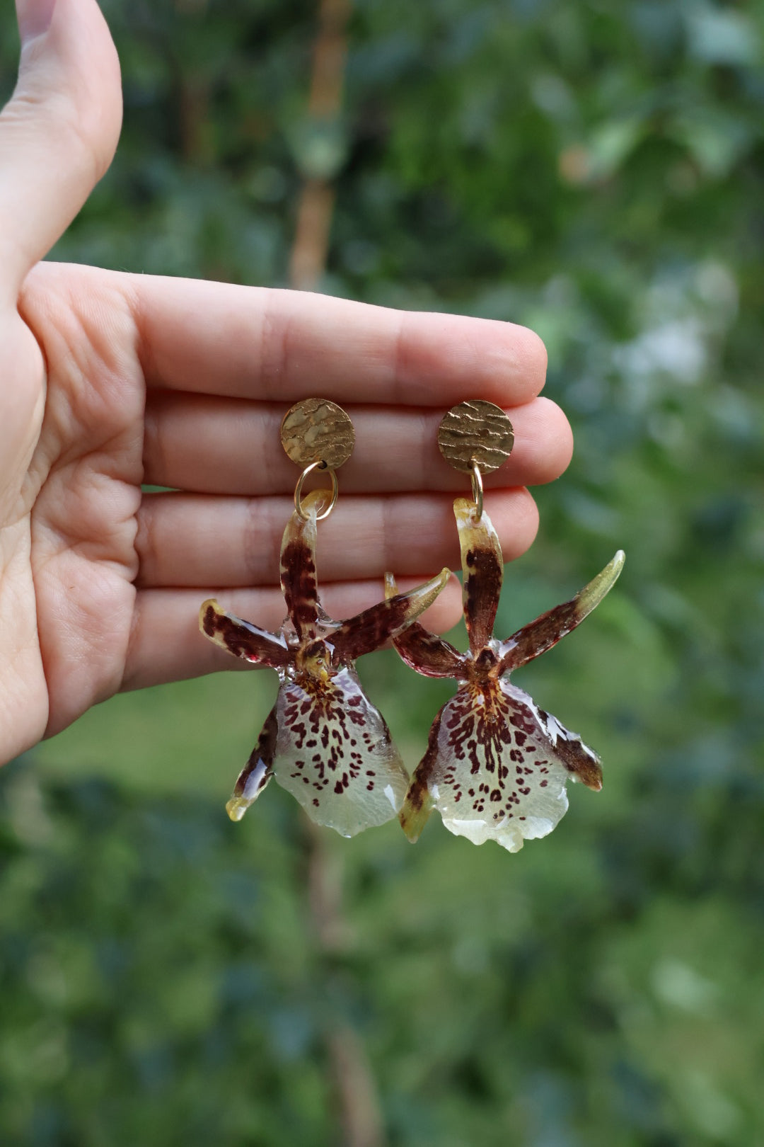 Brassia orchid stud earrings