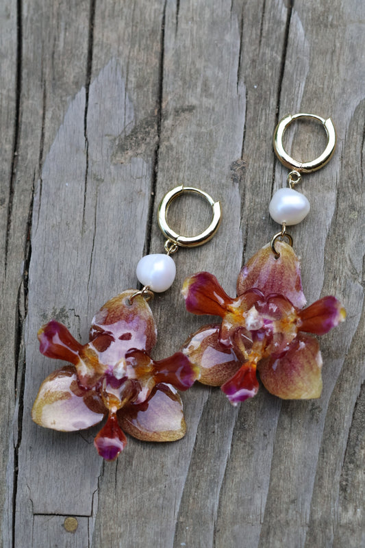 Peloric orchid earrings with pearls