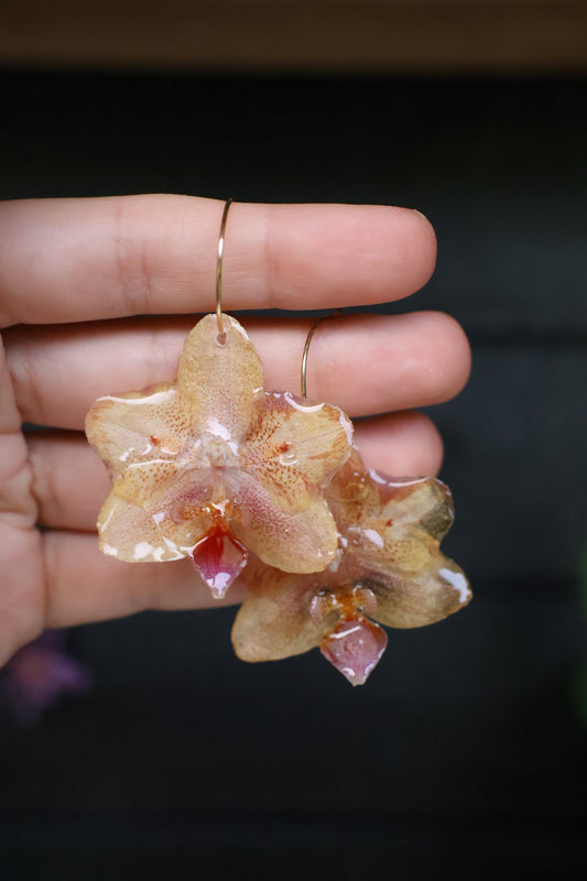 Real Peloric Orchid Earrings: Rare Botanical Jewelry, Nature Lover Gift