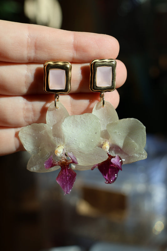 Real White Orchid Earrings – Handmade Botanical Jewelry, Elegant Flower Earrings
