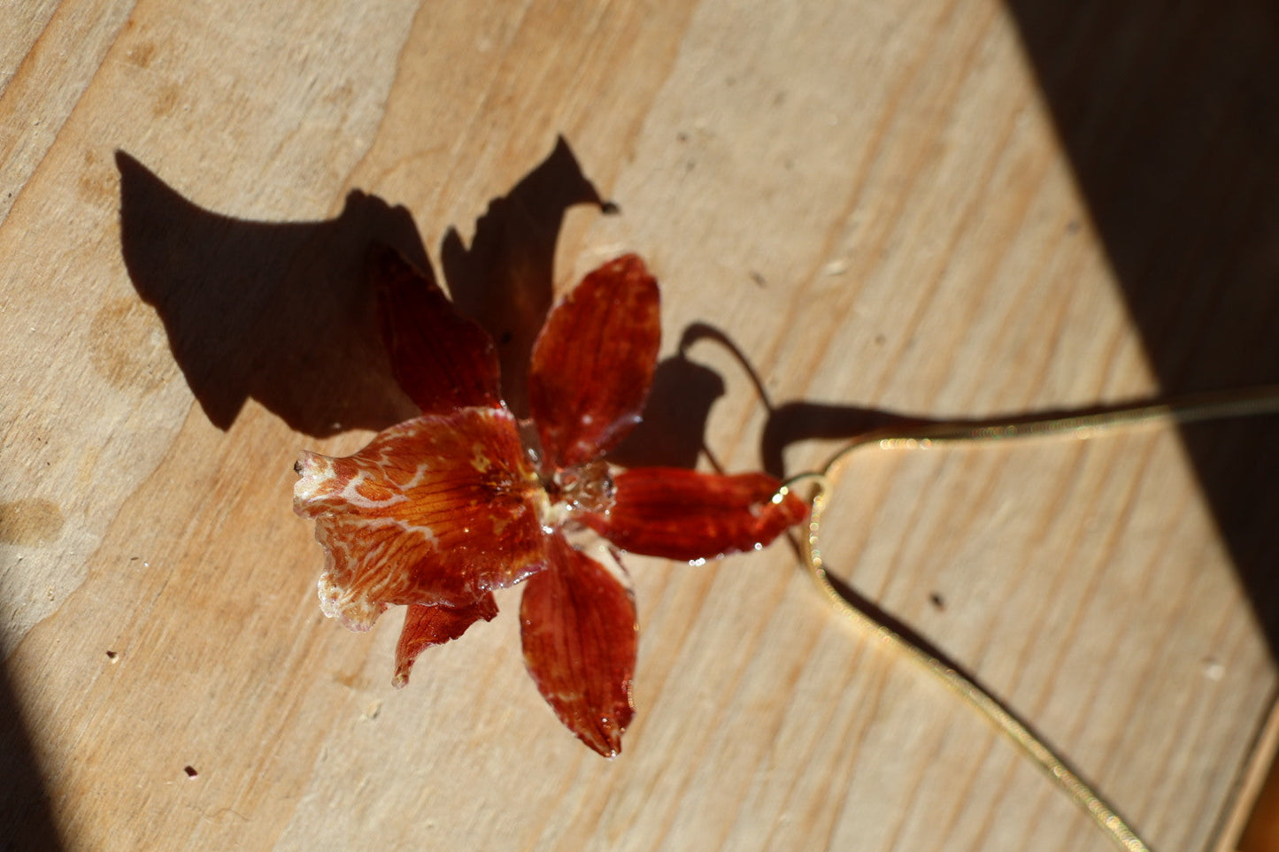 Real Red Orchid Necklace – Handmade Botanical Jewelry, Romantic Flower Pendant SYLLIA