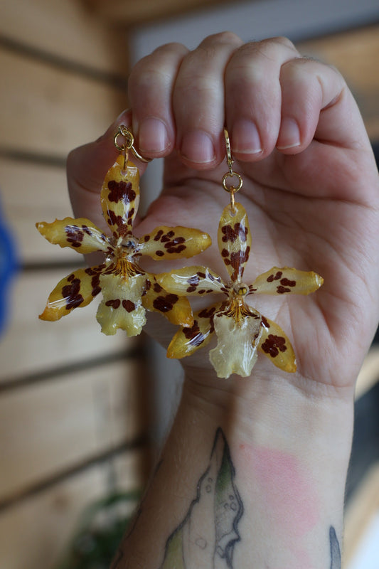 Yellow orchid huggie earrings SYLLIA