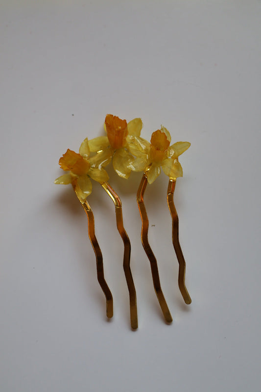 Mixed daffodil haircomb SYLLIA