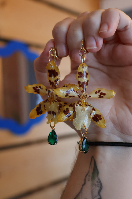 Real yellow Orchid huggie Earrings SYLLIA