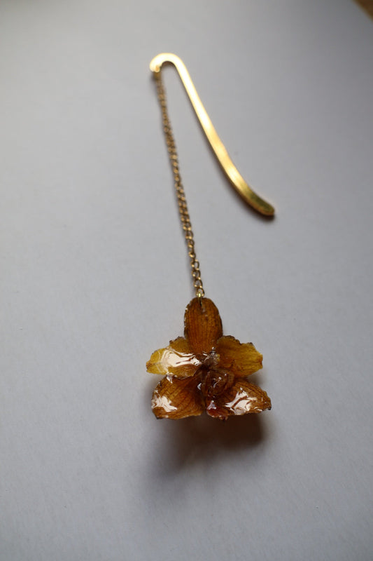 Orange orchid bookmark SYLLIA