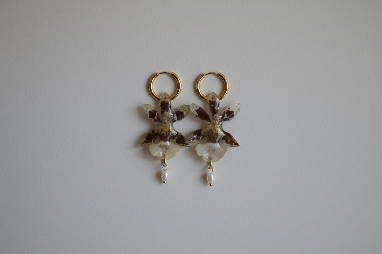 Spider orchid hoops SYLLIA