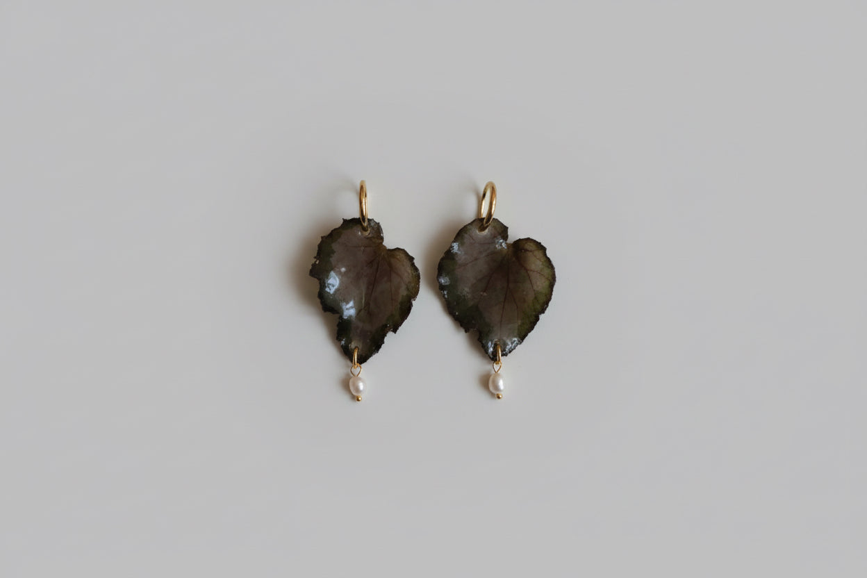 Begonia hoops SYLLIA