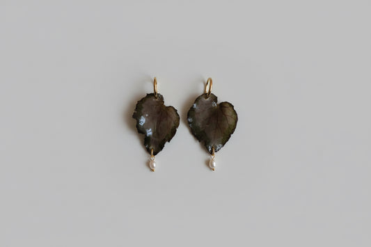 Begonia hoops SYLLIA