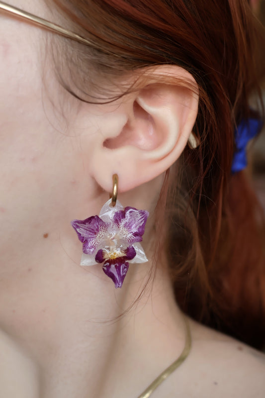 Mini orchid hoops SYLLIA