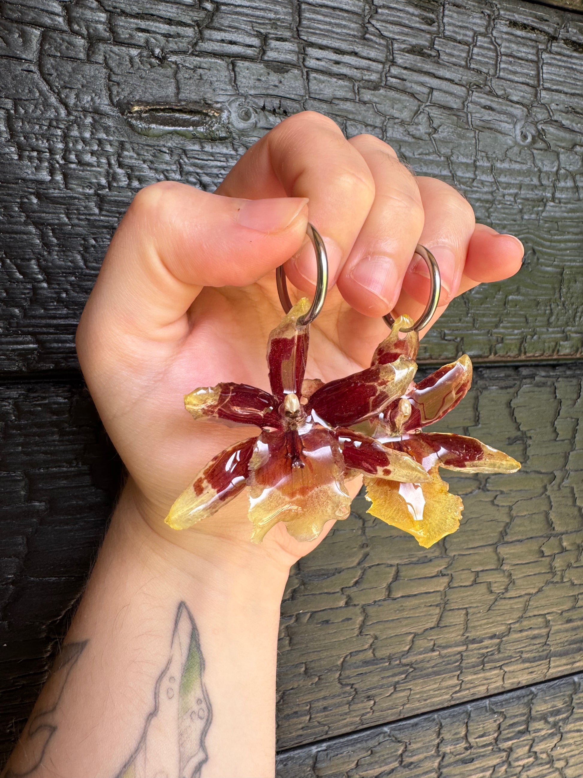 Brown bleeding orchid earrings SYLLIA