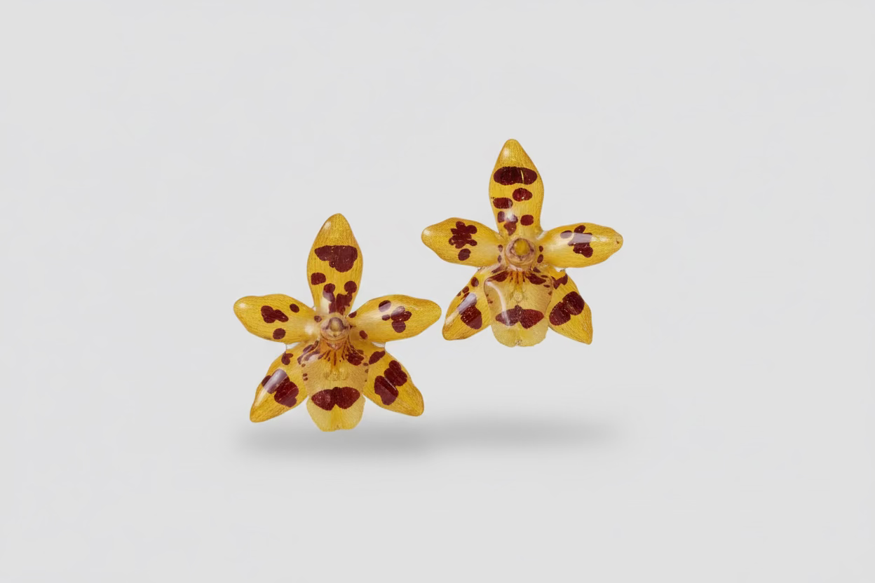 Yellow mini orchid stud earrings SYLLIA