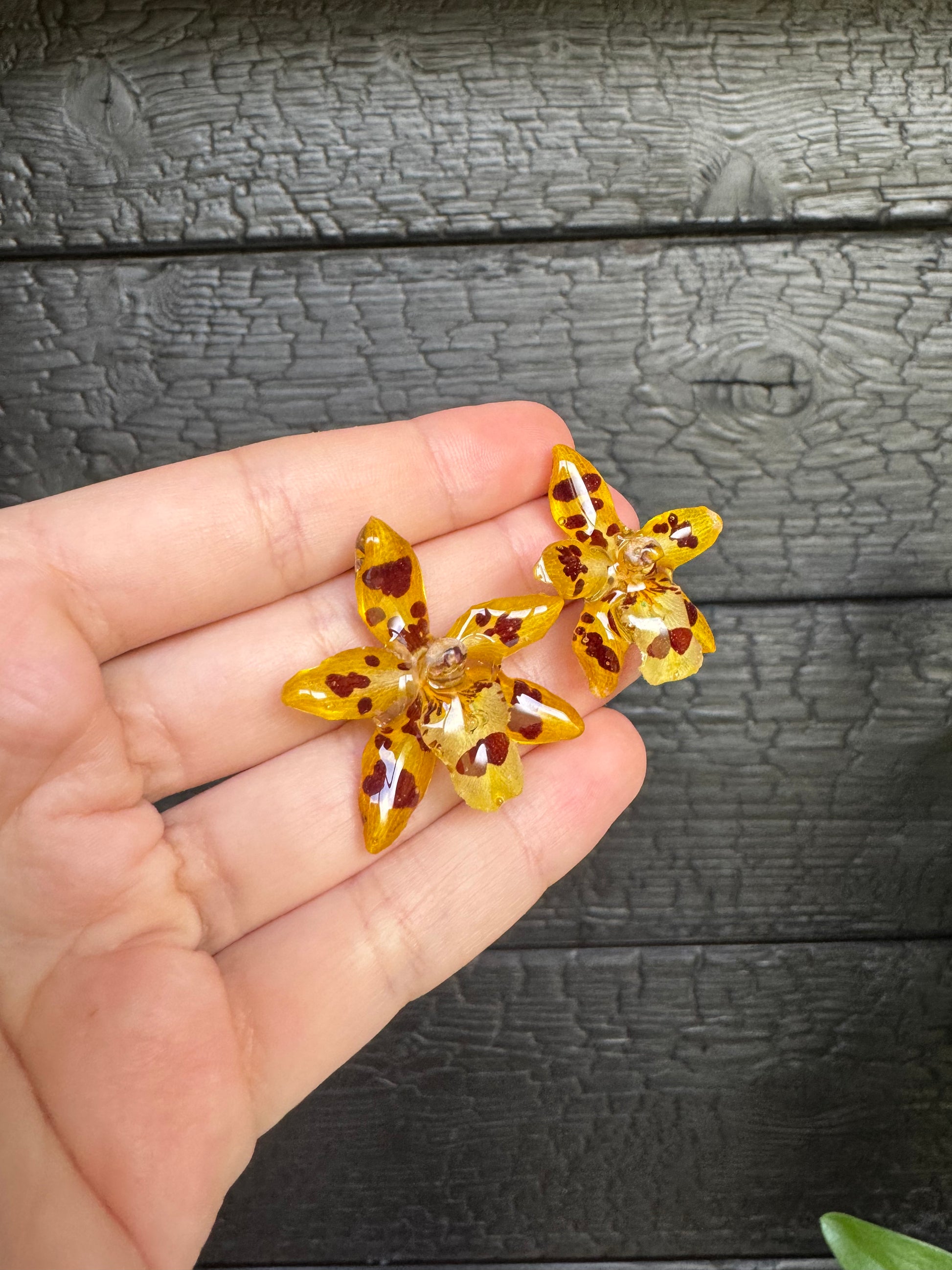 Yellow mini orchid stud earrings SYLLIA