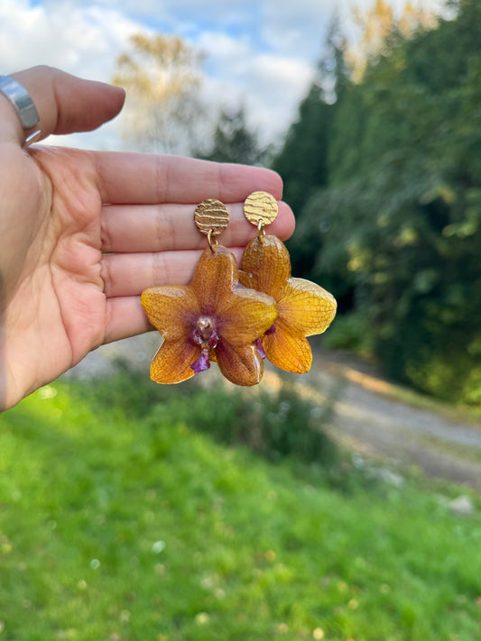 Real Orange Orchid Earrings – Handmade Botanical Jewelry, Nature-Inspired Flower Earrings
