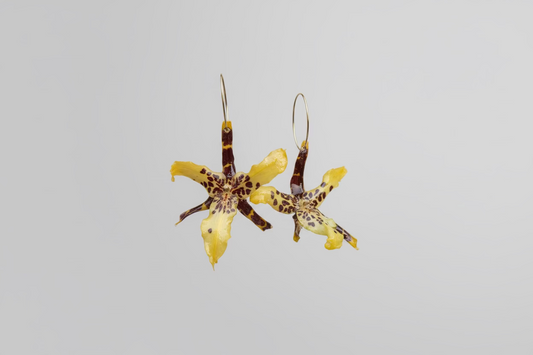 Rare spider orchid earrings SYLLIA
