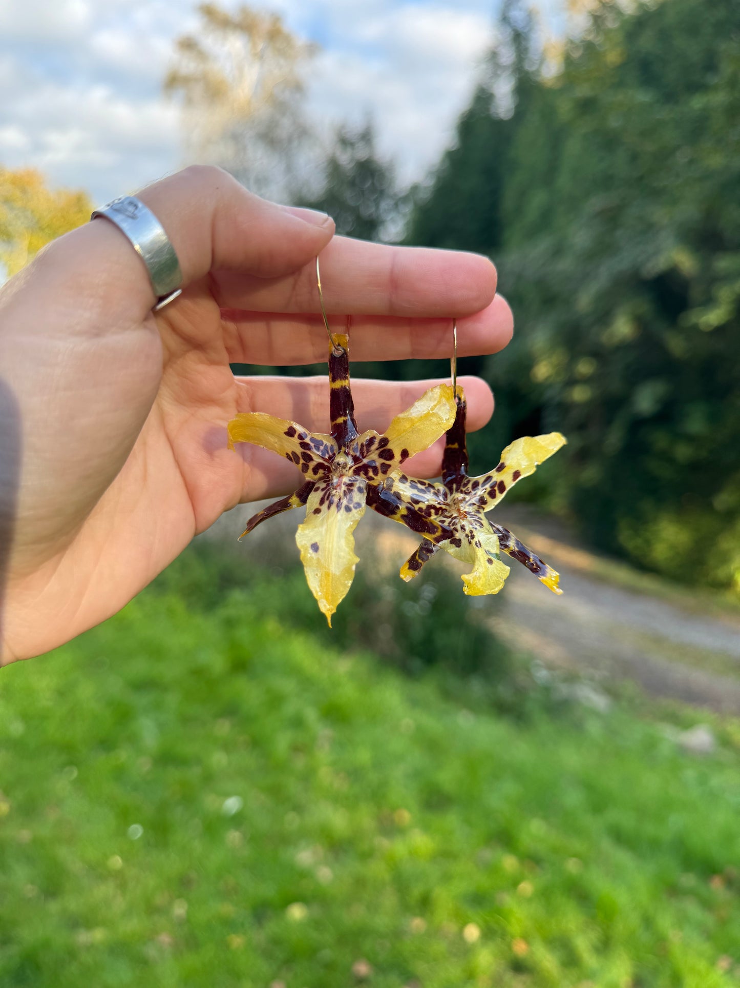Rare spider orchid earrings SYLLIA