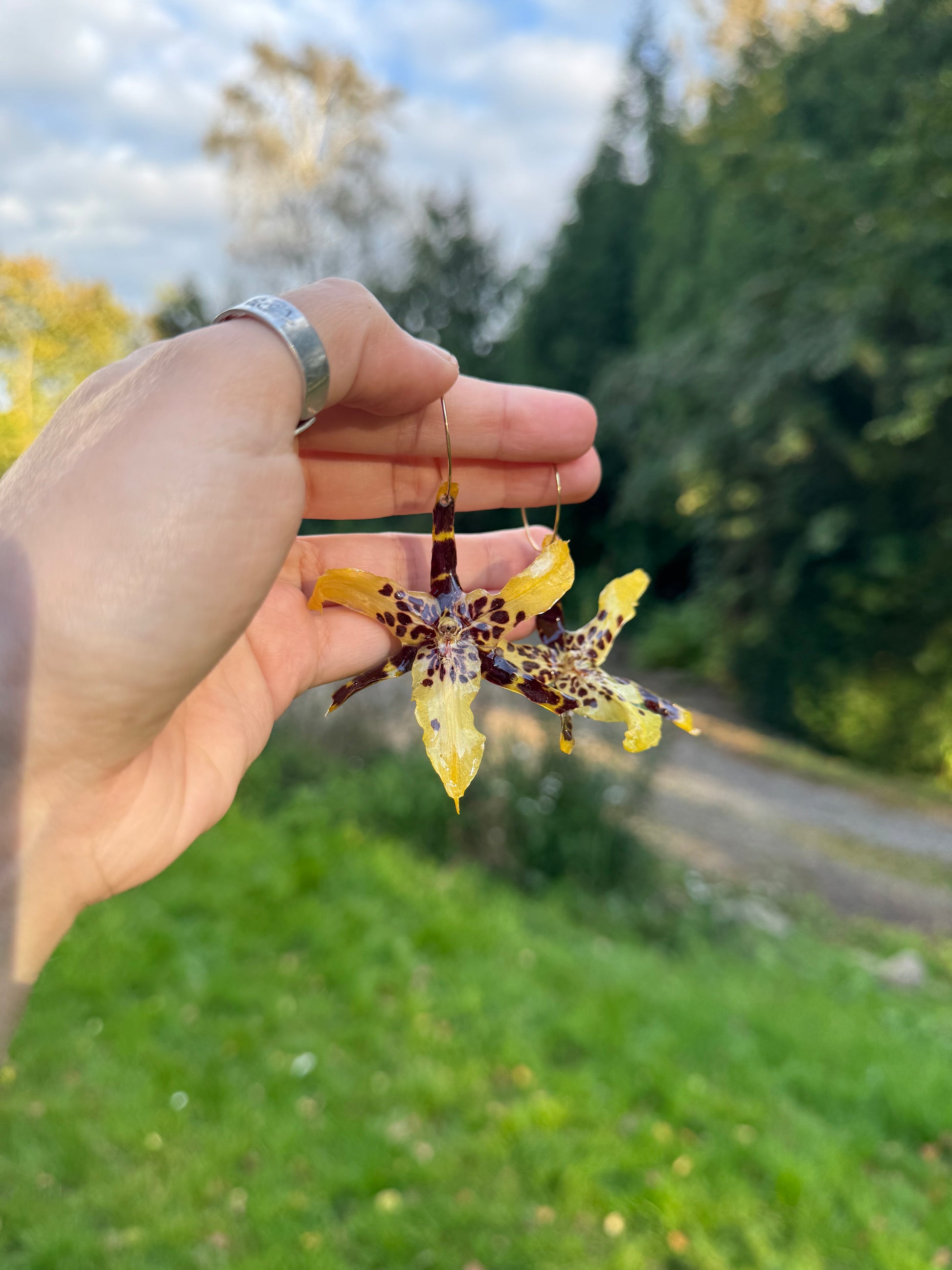 Rare spider orchid earrings SYLLIA