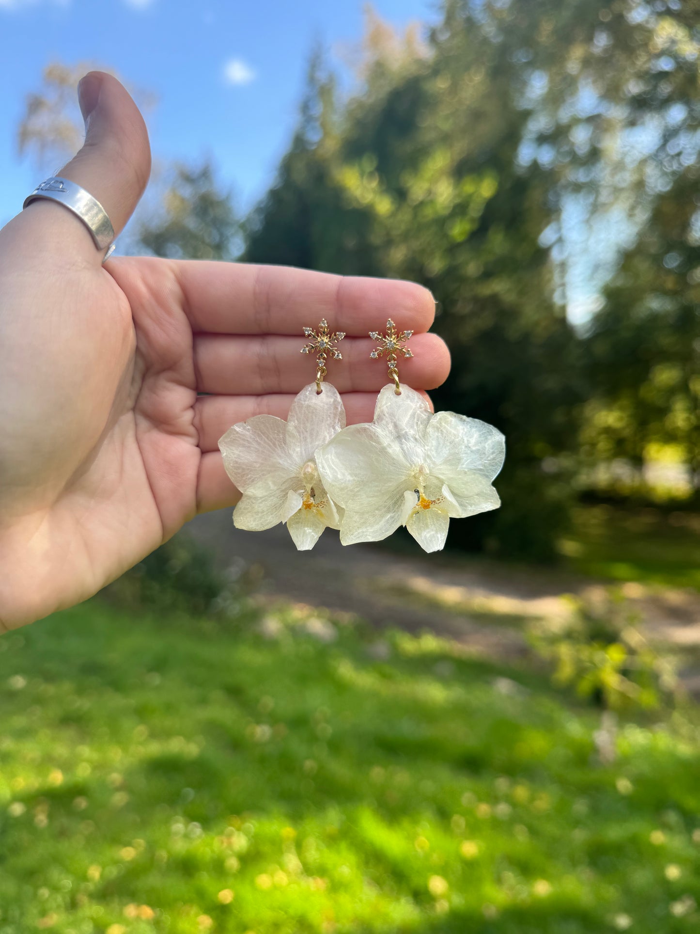 Real White Christmas Orchid Earrings – Handmade Botanical Jewelry, Elegant Winter Flower Earrings