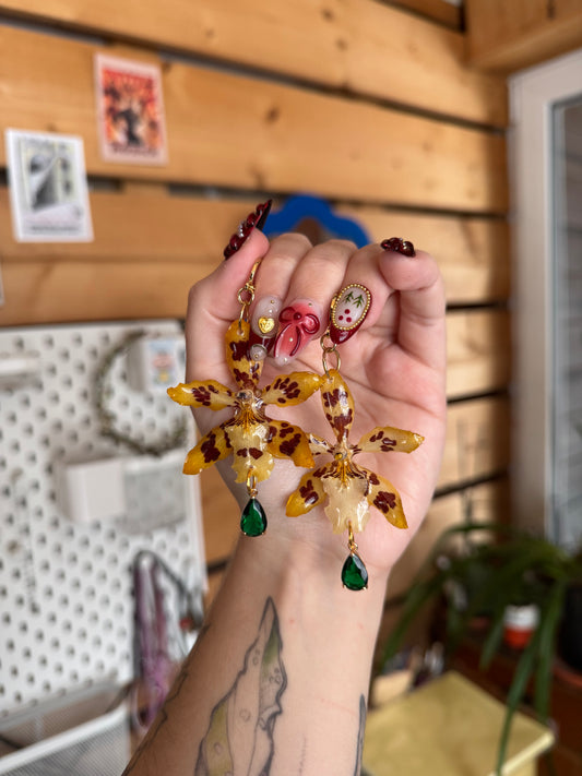 Yellow oncidium orchid earrings