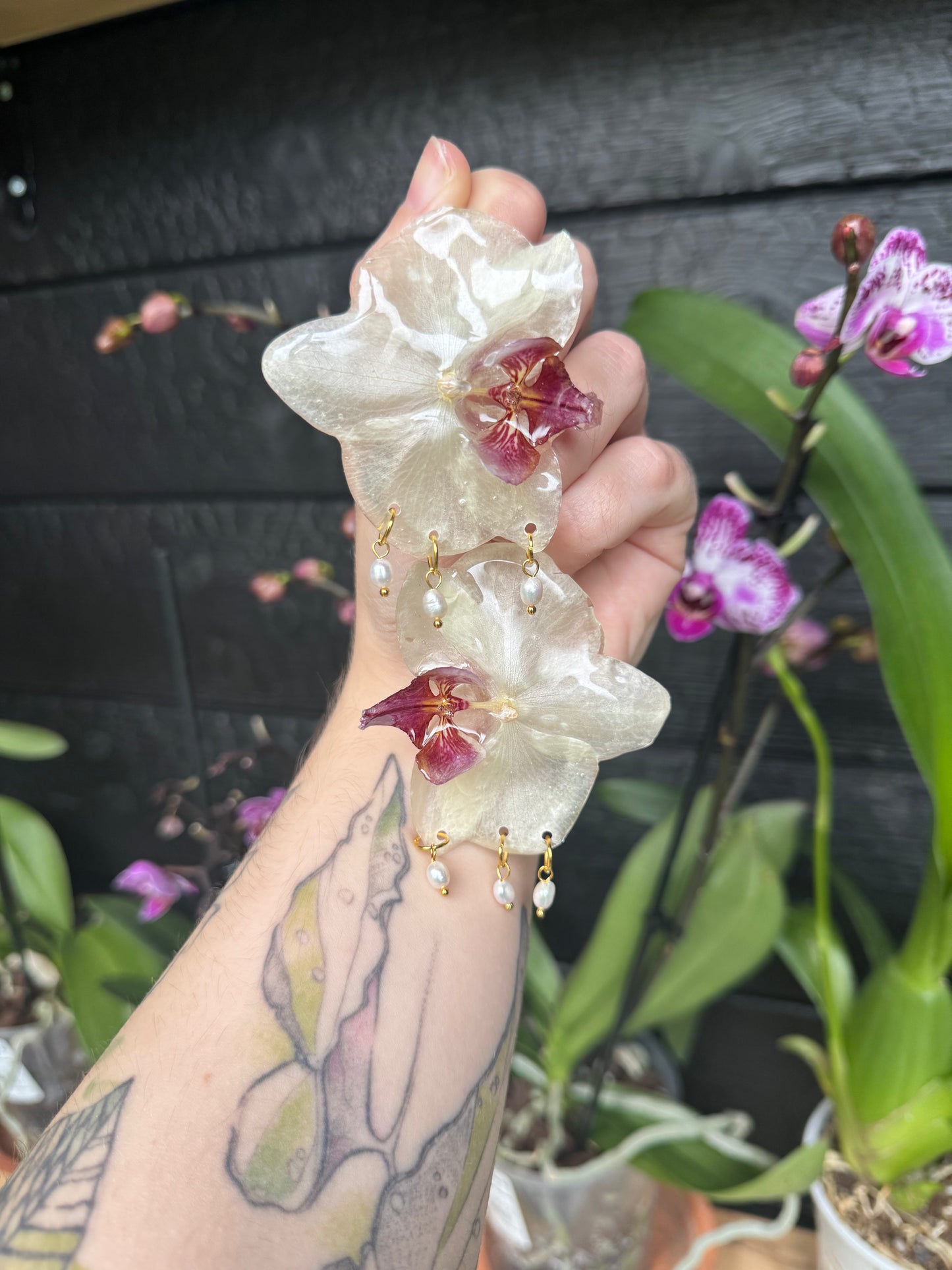 Real Preserved Orchid Earrings with Pearl Drops SYLLIA