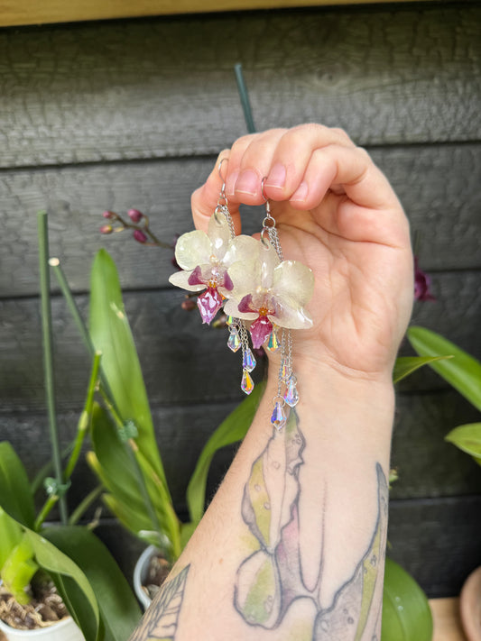 White orchid earrings with gems SYLLIA