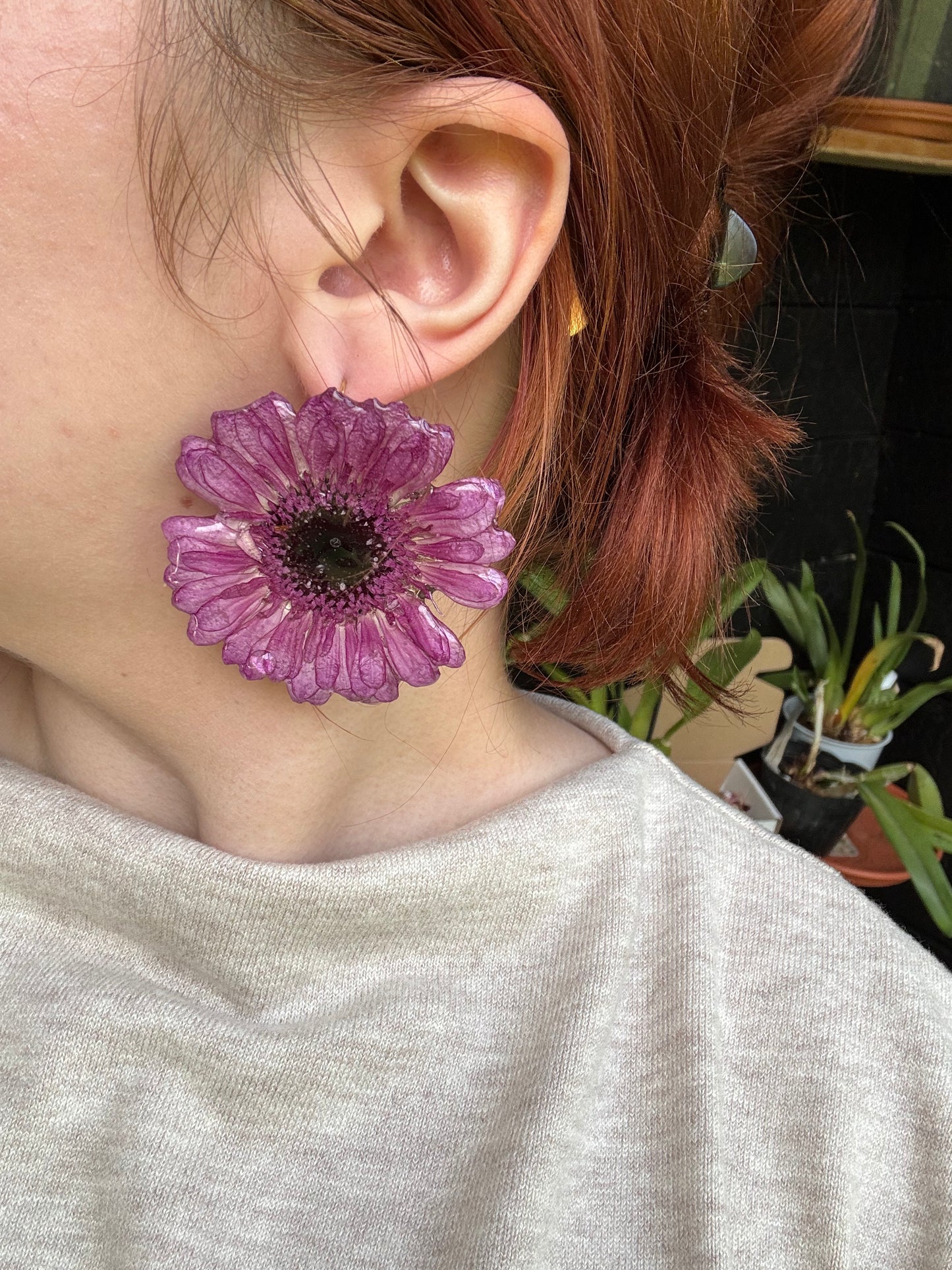 Real Gerbera Daisy Resin Stud Earrings SYLLIA