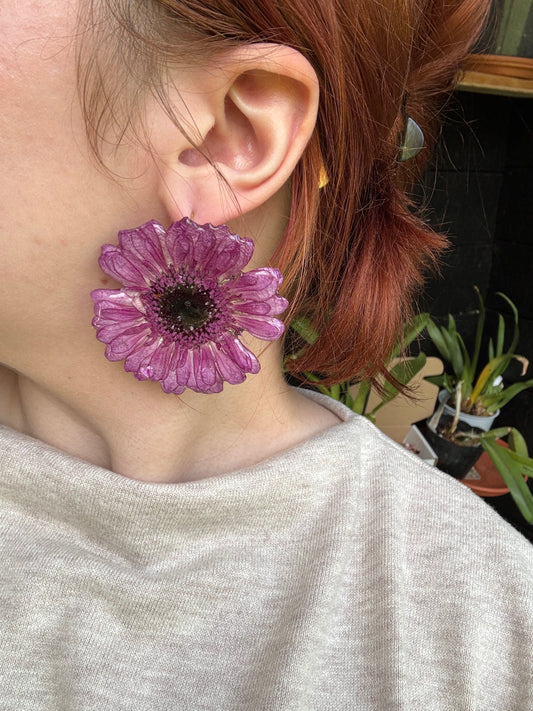 Real Gerbera Daisy Resin Stud Earrings SYLLIA