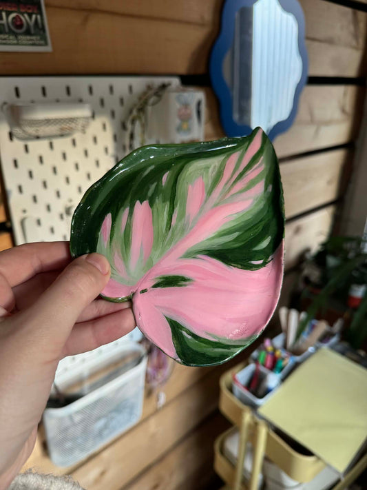 Philodendron pink princess trinket dish SYLLIA